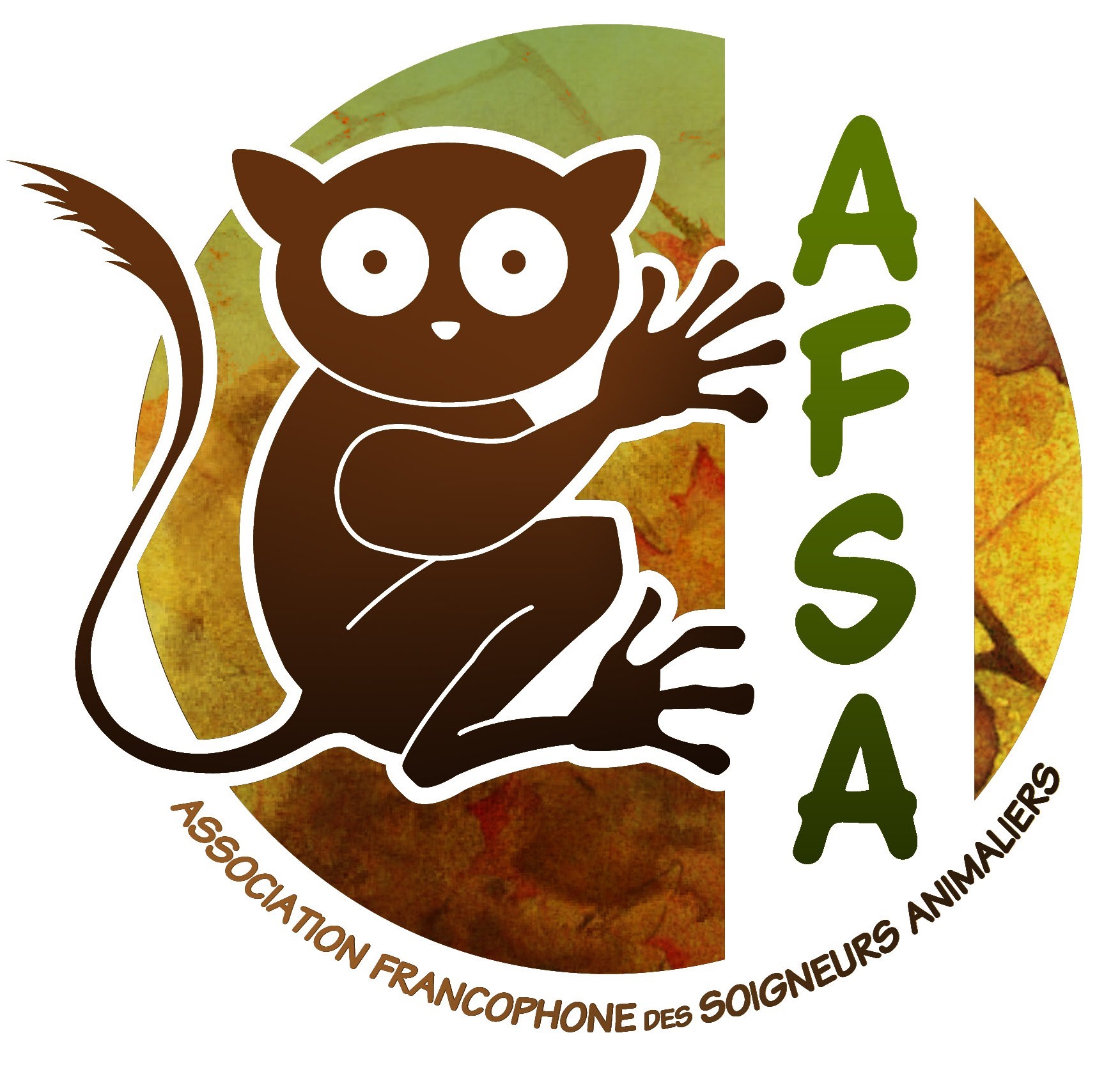 Logo AFSA