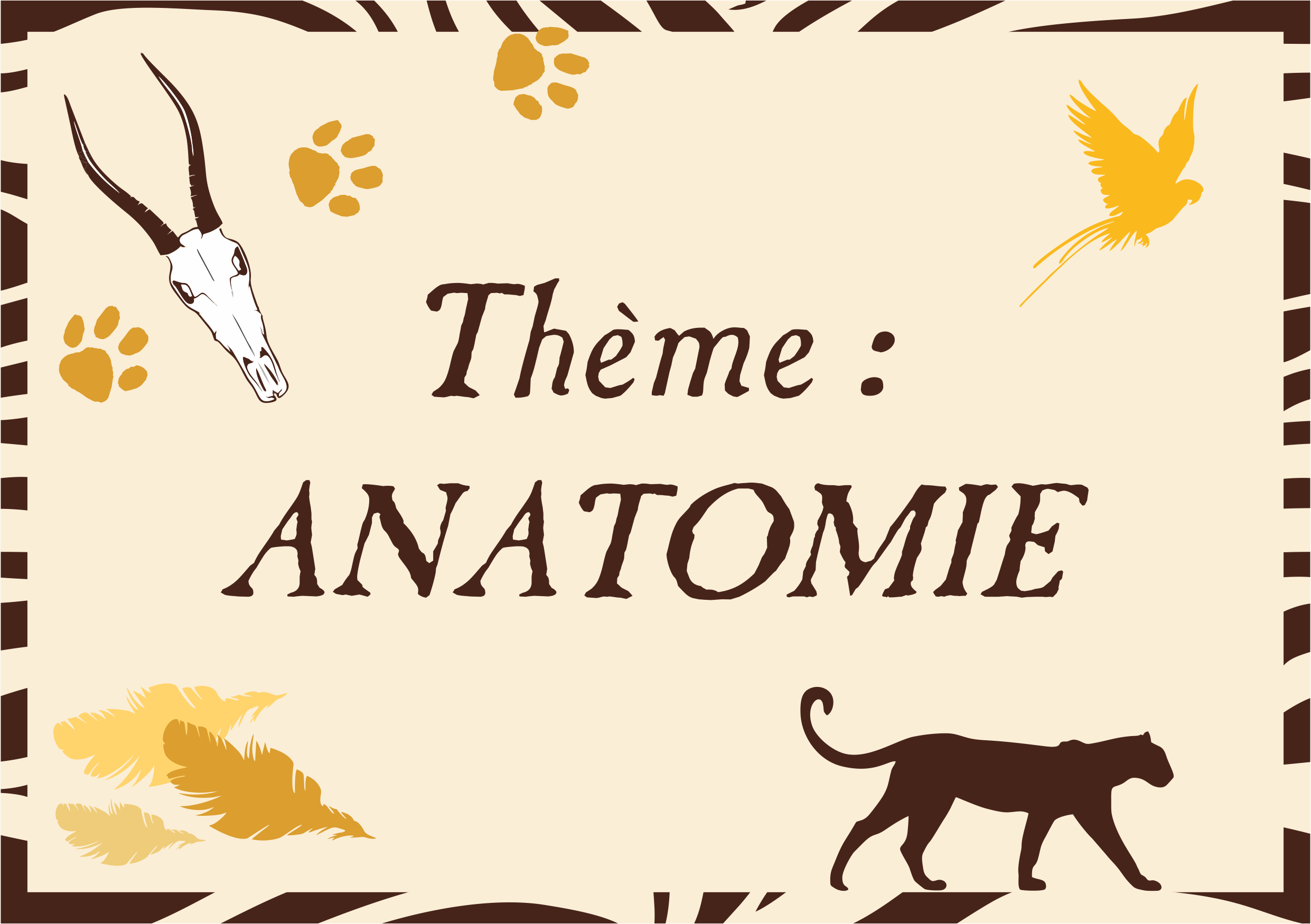 Thème : anatomie