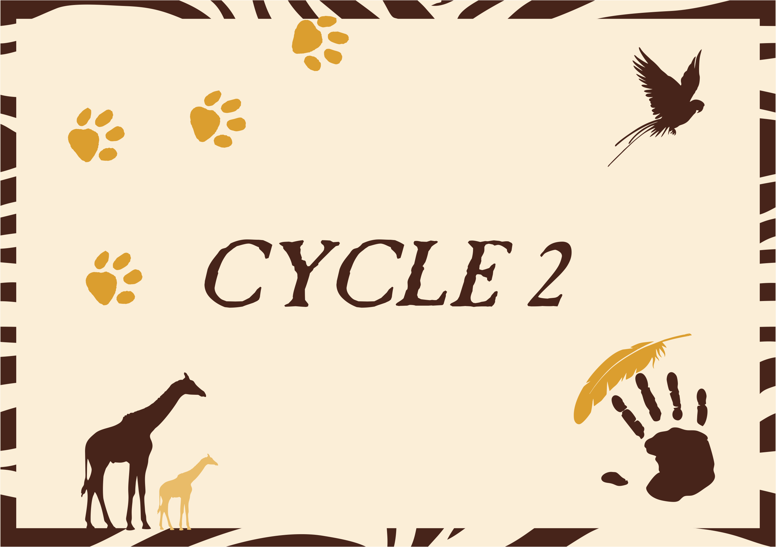 Cycle 2