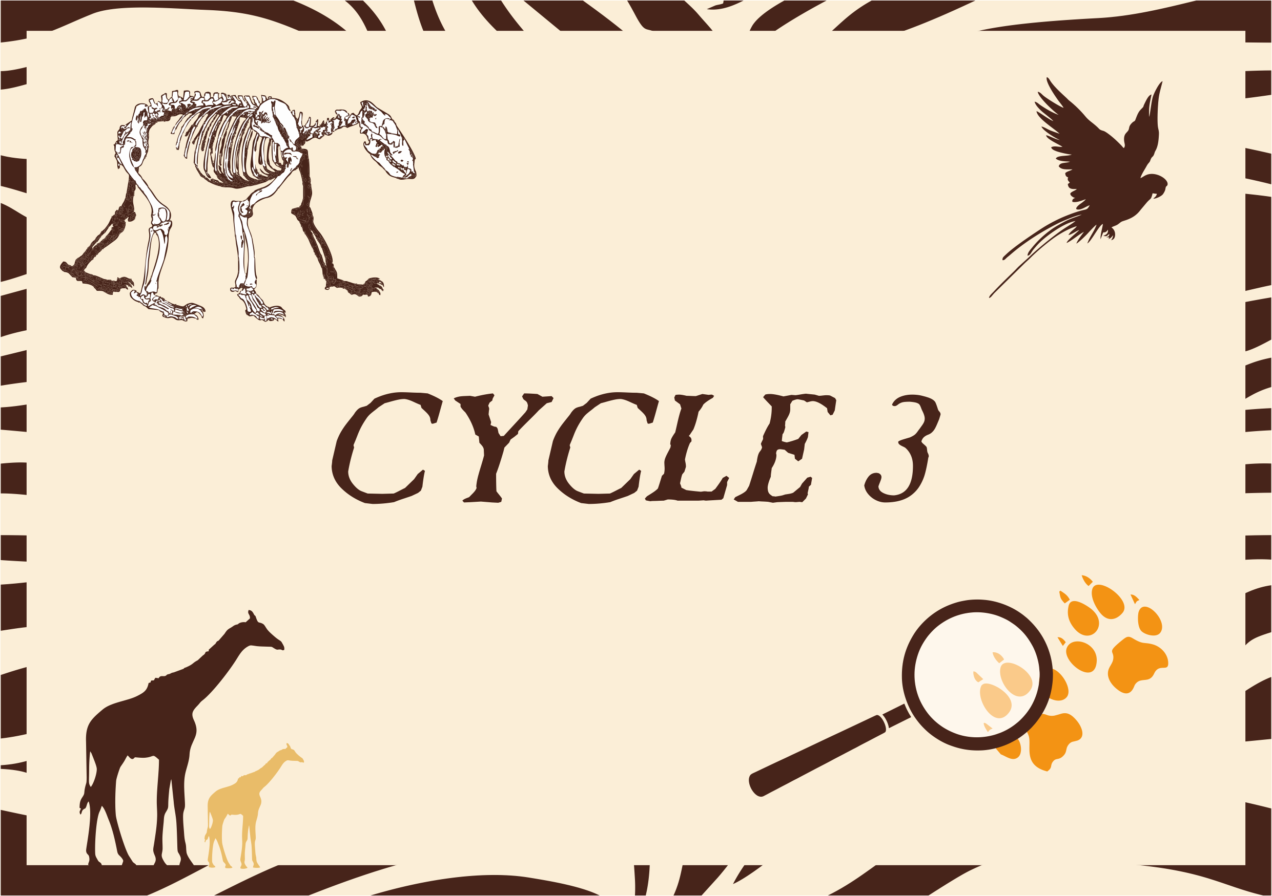 Cycle 3
