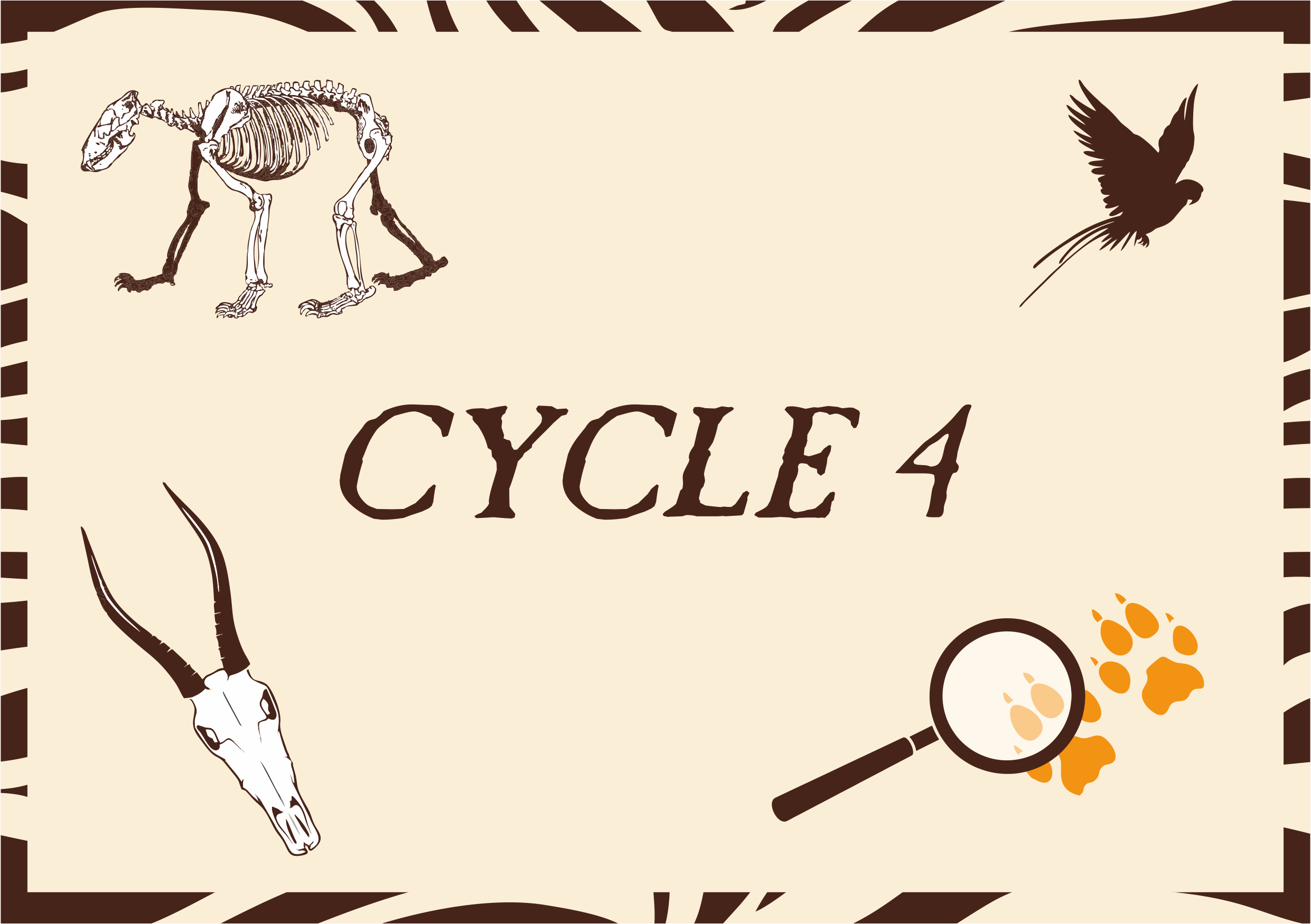 Cycle 4