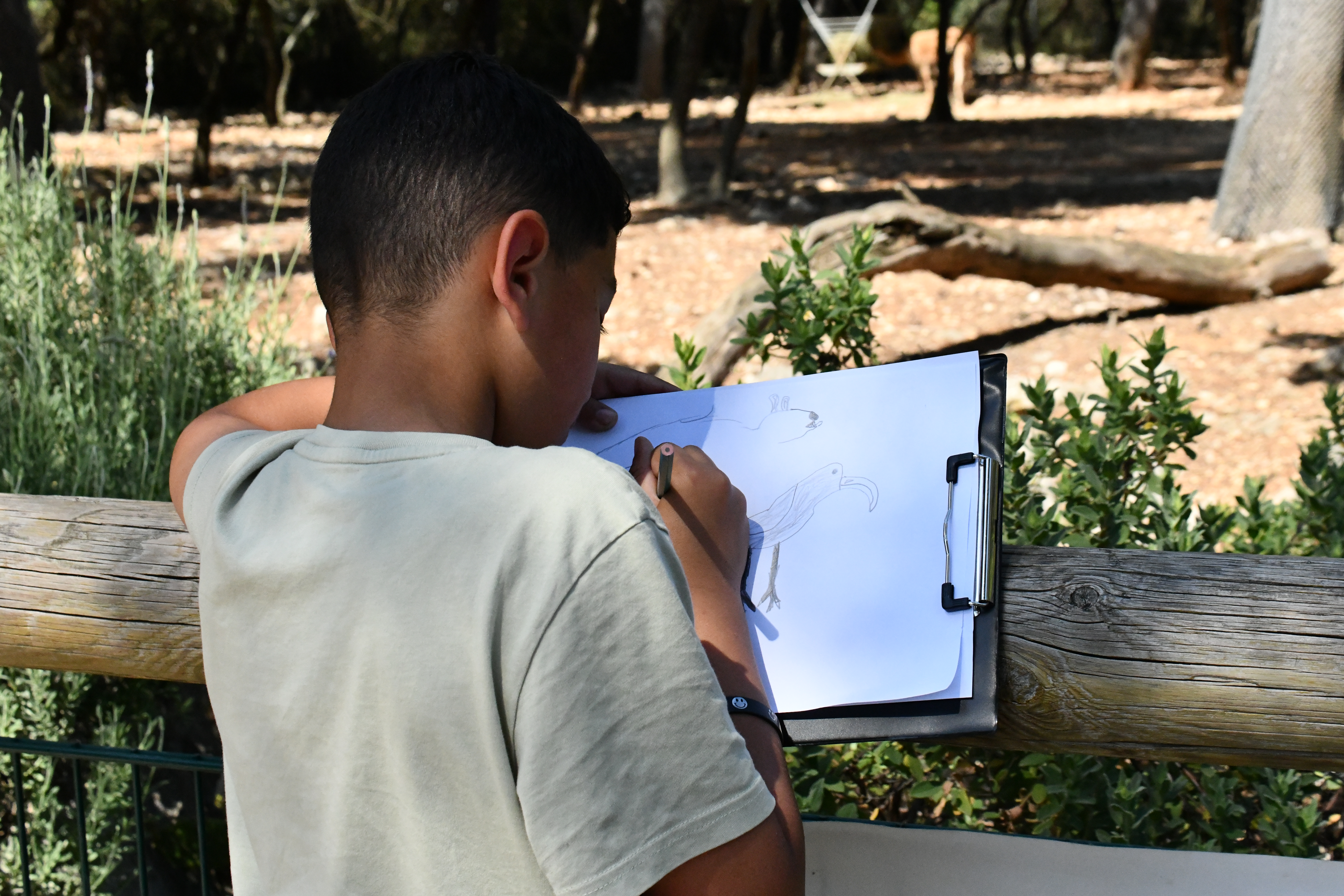Atelier de dessin naturaliste