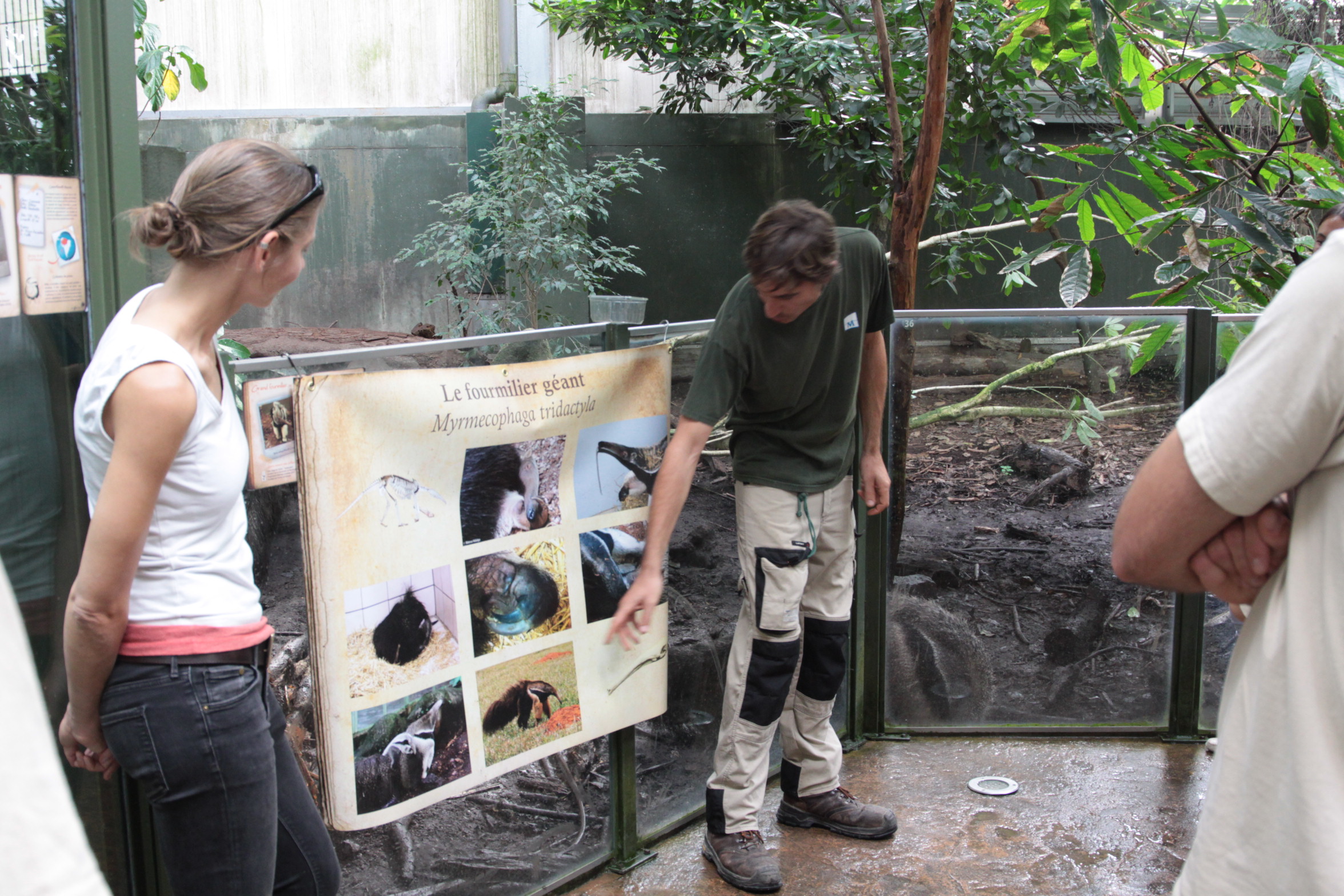 Point rencontre animalier