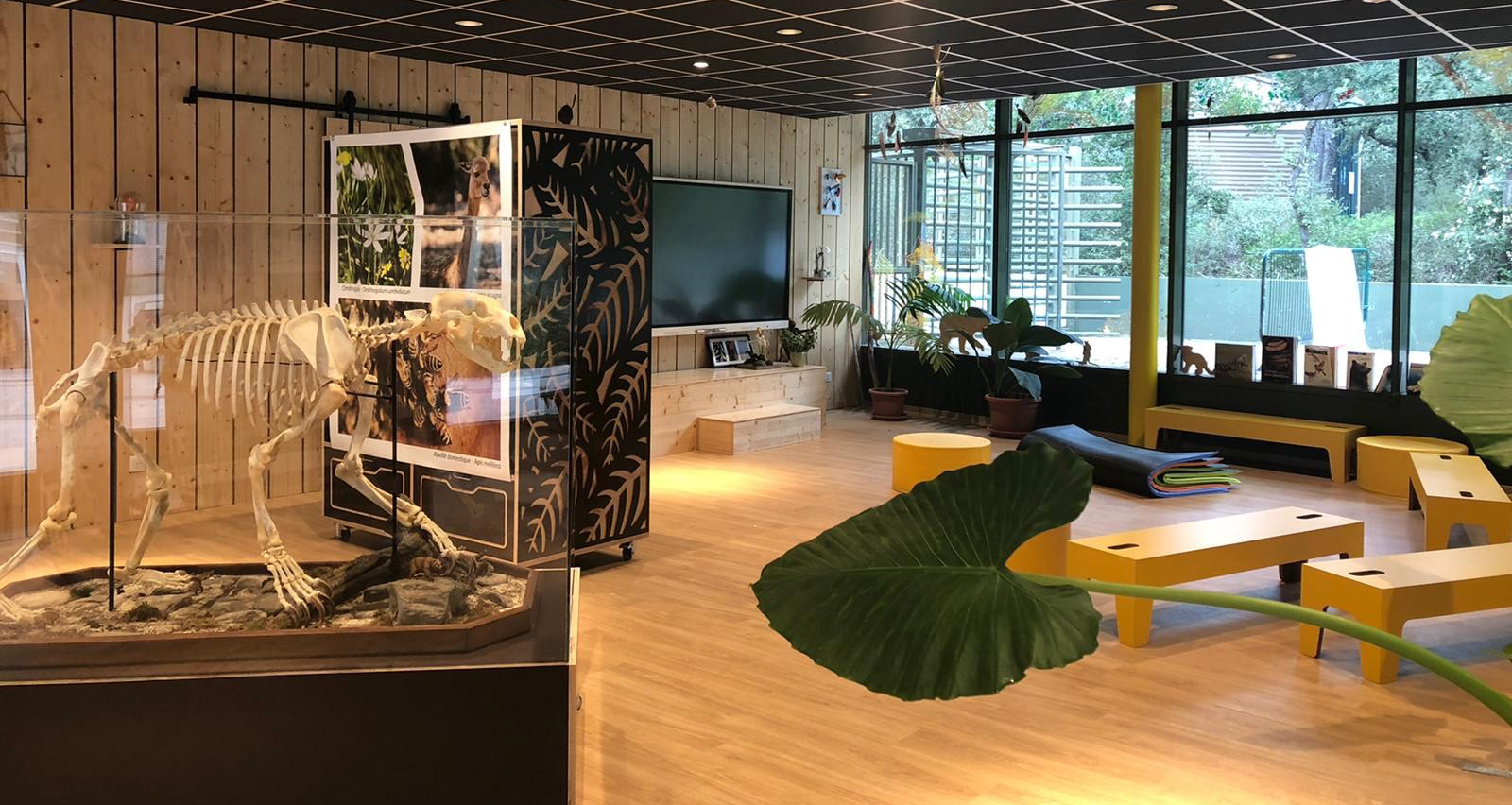 Vue de la salle pédagogique Jeanne Villepreux-Power.