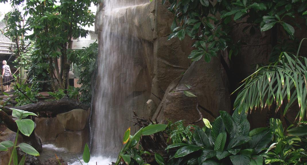 La cascade de la serre amazonienne
