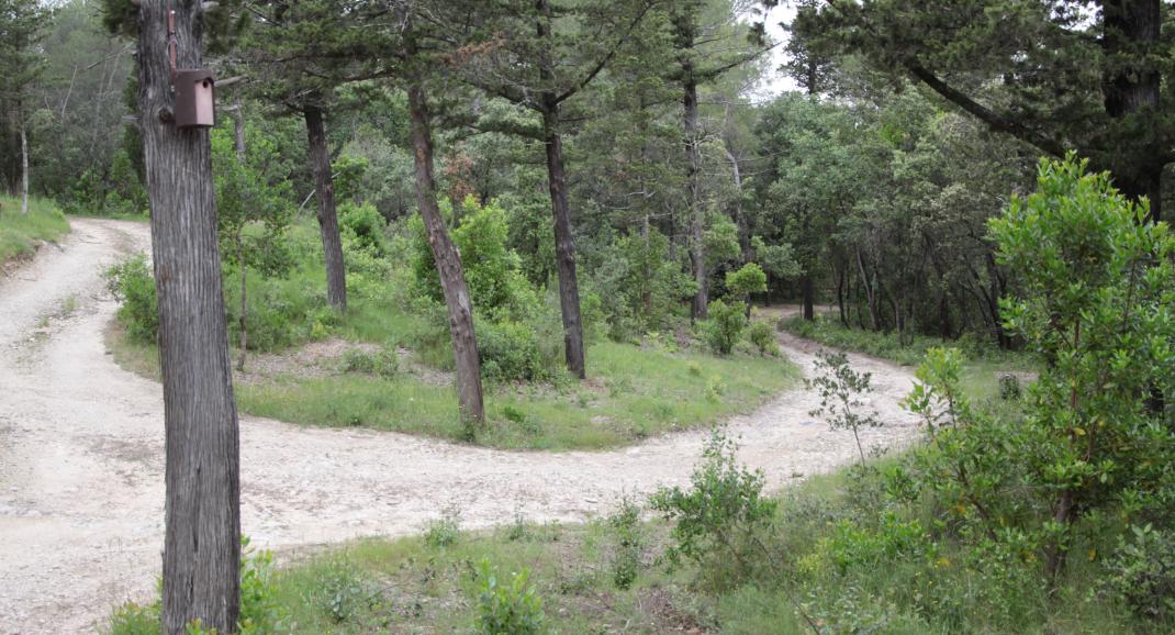 Au nord de l'enclos de ours