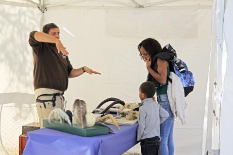 Sébastien 2017 Sébastien 2017