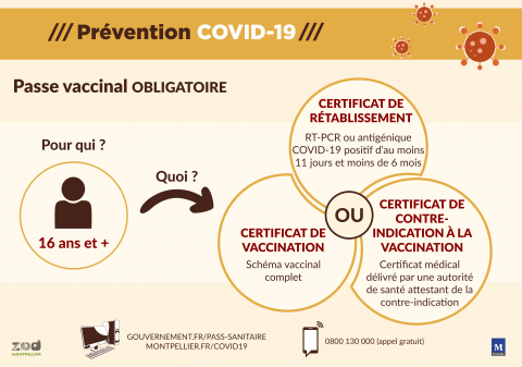 Schéma du passe vaccinal Schéma explicatif du passe vaccinal : vaccination complète ou rétablissement de la maladie, ou certificat de contre-indication