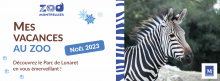 Bannière programmation de Noël 2023