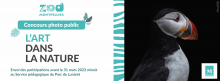 Visuel du concours photo "L'art dans la nature"