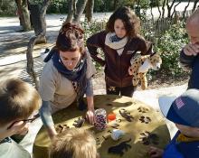 Maraudage aux guépards en mars 2019 Maraudage aux guépards en mars 2019